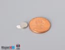 1/4" dia. x 1/16" N N42 3M Adhesive Disc Magnet - photo 3