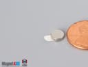 1/4" dia. x 1/16" N N42 3M Adhesive Disc Magnet - photo 4