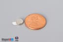 1/4" dia. x 1/16" N N42 3M Adhesive Disc Magnet - photo 9