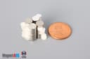 1/4" dia. x 1/16" N N42 3M Adhesive Disc Magnet - photo 12