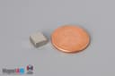 1/4" x 1/4" x 1/8" N40 Neodymium Block Magnet - photo 1