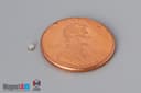 1/16" dia. x 1/32" N52 Neodymium Disc Magnet - photo 1