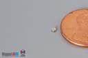 1/16" dia. x 1/32" N52 Neodymium Disc Magnet - photo 3