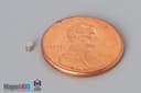 1/16" dia. x 1/16" N40 Neodymium Cylinder Magnet - photo 1