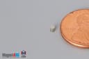 1/16" dia. x 1/16" N40 Neodymium Cylinder Magnet - photo 3