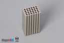 1/16" dia. x 3/4" N40 Neodymium Cylinder Magnet - photo 4