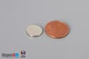 1/2" dia. x 1/16" N40 Neodymium Disc Magnet - photo 1
