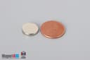 1/2" dia. x 1/10" N40 Neodymium Disc Magnet - photo 1