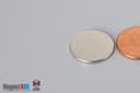 3/4" dia. x 1/16" N40 Neodymium Disc Magnet - photo 3