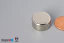 3/4" dia. x 3/8" N40 Neodymium Disc Magnet - photo 3