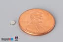 1/10" dia. x 1/32" N45 Neodymium Disc Magnet - photo 1