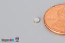 1/10" dia. x 1/32" N45 Neodymium Disc Magnet - photo 3