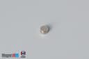 1/10" dia. x 1/16" N52 Neodymium Disc Magnet - photo 2