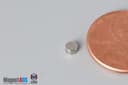 1/10" dia. x 1/16" N52 Neodymium Disc Magnet - photo 3