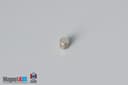 1/10" dia. x 1/10" N45 Neodymium Cylinder Magnet - photo 2