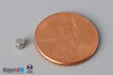 1/10" dia. x 1/10" N45 Neodymium Cylinder Magnet - photo 1