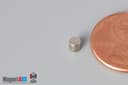 1/10" dia. x 1/10" N45 Neodymium Cylinder Magnet - photo 3