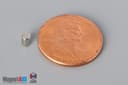 1/10" dia. x 3/16" N45 Neodymium Cylinder Magnet - photo 1