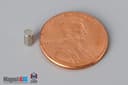 1/10" dia. x 2/10" N45 Neodymium Cylinder Magnet - photo 1