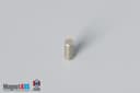 1/10" dia. x 1/4" N45 Neodymium Cylinder Magnet - photo 2