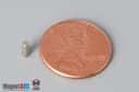 1/10" dia. x 1/4" N45 Neodymium Cylinder Magnet - photo 1