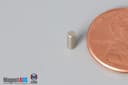 1/10" dia. x 1/4" N45 Neodymium Cylinder Magnet - photo 3
