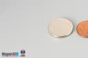 7/8" dia. x 1/10" N40 Neodymium Disc Magnet - photo 3