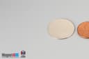 15/16" dia. x 1/32" N45 Neodymium Disc Magnet - photo 3