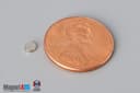 1/8" dia. x 1/32" N40 Neodymium Disc Magnet - photo 1