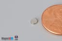 1/8" dia. x 1/32" N40 Neodymium Disc Magnet - photo 3