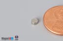 1/8" dia. x 1/16" N45 Neodymium Disc Magnet - photo 3