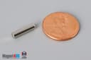 1/8" dia. x 1/2" N40 Neodymium Cylinder Magnet - photo 1