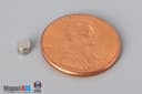 1/8" dia. x 3/32" N45 Neodymium Disc Magnet - photo 1