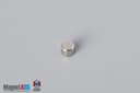 1/8" dia. x 1/10" N45 Neodymium Disc Magnet - photo 2