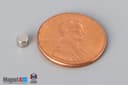 1/8" dia. x 1/10" N45 Neodymium Disc Magnet - photo 1