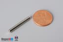 1/8" dia. x 1" N40 Neodymium Cylinder Magnet - photo 1