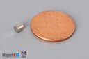1/8" dia. x 1/8" N52 Neodymium Cylinder Magnet - photo 1