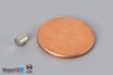 1/8" dia. x 3/16" N45 Neodymium Cylinder Magnet - photo 1