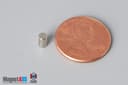 1/8" dia. x 1/4" N52 Neodymium Cylinder Magnet - photo 1