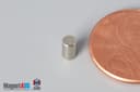 1/8" dia. x 1/4" N52 Neodymium Cylinder Magnet - photo 3