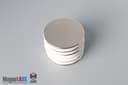 1 1/4" dia. x 1/16" N45 Neodymium Disc Magnet - photo 4