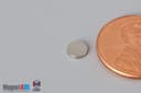 3/16" dia. x 1/32" N40 Neodymium Disc Magnet - photo 3
