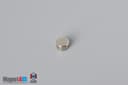 3/16" dia. x 1/10" N45 Neodymium Disc Magnet - photo 2