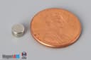 3/16" dia. x 1/10" N45 Neodymium Disc Magnet - photo 1