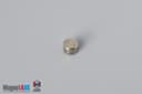3/16" dia. x 1/8" N40 Neodymium Disc Magnet - photo 2