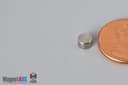 3/16" dia. x 1/8" N40 Neodymium Disc Magnet - photo 3