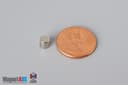 3/16" dia. x 3/16" N52 Neodymium Cylinder Magnet - photo 1