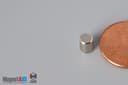 3/16" dia. x 1/4" N52 Neodymium Cylinder Magnet - photo 3