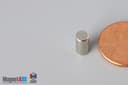 3/16" dia. x 3/8" N52 Neodymium Cylinder Magnet - photo 3