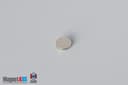 2/10" dia. x 1/32" N52 Neodymium Disc Magnet - photo 2